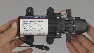 Насос 12V для кухни  Osculati Europump 4 fresh water pump [upl. by Nwahsel925]