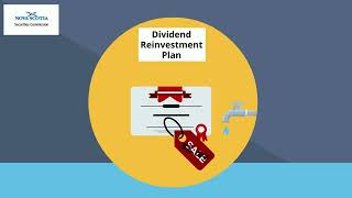 3 Minutes on Dividend Reinvestment Plans DRIPs [upl. by Siegel350]