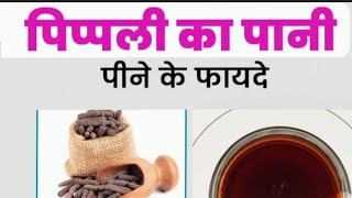 pipli ke fayde  pipli ka pani peene ke fayde long pepper benefits pipli health weightloss [upl. by Ysus]