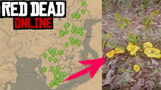 Chantarelas Localización  Red Dead Redemption 2 Online  Desafíos Diarios [upl. by Ggerc]