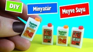 DIY Minyatür Meyve Suyu Ve Süt Yapımı  Nasıl Yapılır Kendin Yap [upl. by Karame]