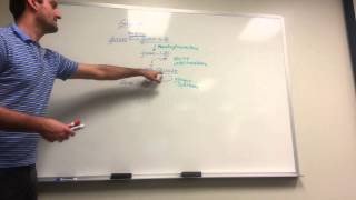 Made Simple Glycogen Synthesis Breakdown and Storage diseases [upl. by Shirk]