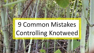 9 Common Mistakes To Avoid in Trying to Control Invasive Knotweed [upl. by Cori152]