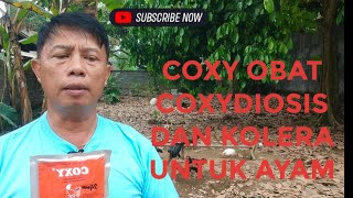 COXY OBAT COXYDIOSIS DAN KOLERA UNTUK AYAM [upl. by Melborn]