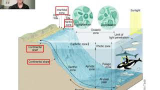 Marine Science Ocean Zones and Lifestyles 1 [upl. by Amlez]