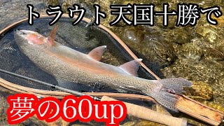 【十勝Fly Fishing】夢にまでみた生活。十勝河川で60upのニジマスを釣る日々 [upl. by Nele153]