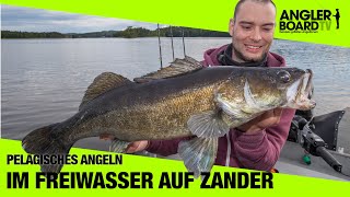 Pelagisches Angeln  Im Freiwasser auf Zander  Das perfekte Stinger Rig  Anglerboard TV [upl. by Ziegler455]