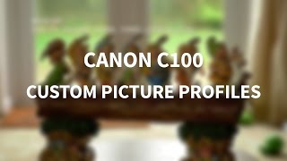 Canon C100 Picture Profiles [upl. by Bobbe]