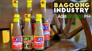 Lingayen Bagoong  Bagoong Industry in the Philippines  Agribusiness Philippines [upl. by Sonstrom295]