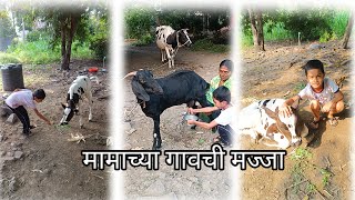 मामाच्या गावची मज्जा🤣 viralvideo viral vlog dailyvlog MumbaiIndians [upl. by Thurber]