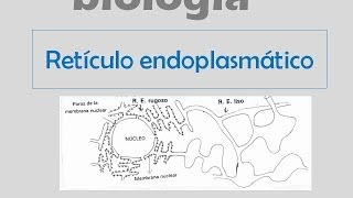 Retículo endoplasmático [upl. by Ahseym]