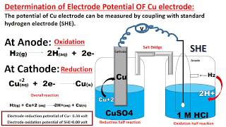 Determination of Standard Electrode potential of Zinc and Copper [upl. by Hanej299]