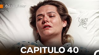 Alas de Amor Capitulo 40 Doblado En Español [upl. by Arlon3]