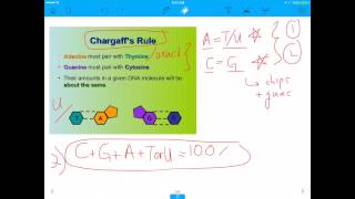 MCAT Question Base Pairing in the HIV Genome [upl. by Shapiro]