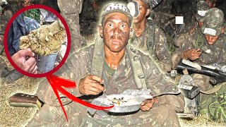 COMIDAS DO EXÉRCITO BRASILEIRO [upl. by Aisenat390]