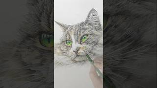 Draw cat fur realistically 고양이 사실적으로 그려보자 arthoyone drawing drawcat [upl. by Amle83]