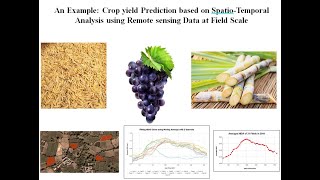 An Example Crop yield Prediction based on SpatioTemporal Analysis using Remote sensing Data amp GEE [upl. by Lenes582]