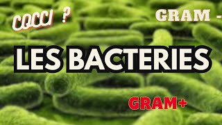 Comment les BACTERIES nous rendent malades [upl. by Drogin431]