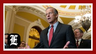 WATCH LIVE Senator John Thune speaks to reporters after being elected Majority Leader [upl. by Kelcy]