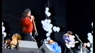 Mercury Rev  Trickle Down  live at Phoenix Festival 1993 Boces [upl. by Bodrogi]