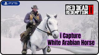 I Capture White Arabian horse in Red dead redemption 2  Fastest Horse in RDR2 [upl. by Omiseno]