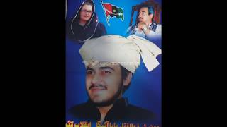 Mir Murtaza Bhutto song by Muhammad Awais Lashari [upl. by Ecenaj971]