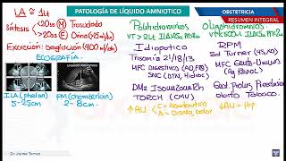 Formación Líquido Amniótico en Embarazo [upl. by Ardnahc]