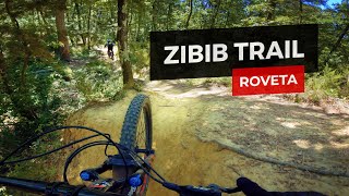 MTB Enduro  Zibib pump track nella foresta  Roveta  Firenze [upl. by Nemra881]