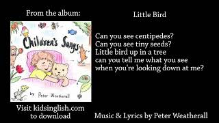 Little Bird music amp lyrics by Peter Weatherall [upl. by Jeffery]