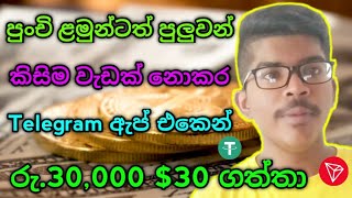 සම්පුර්ණයෙන් නොමිලේ රු30000  How To Earn Money Sinhala  Online Money Earn Platform  New Airdrop [upl. by Jilleen]