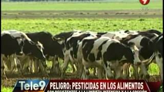 Peligro pesticidas en los alimentos [upl. by Arnulfo222]