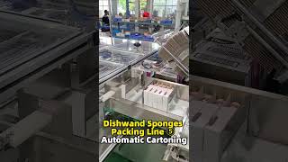 Dishwand Sponge Packing Line ⑤ Automatic Cartoning [upl. by Darrow]