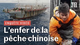 Enquête dans l’enfer des bateaux de pêche chinois de haute mer [upl. by Arihat]