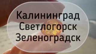 Калининградская область за 7 дней на арендованном авто Аренда авто Обзор апартаментов Калининград [upl. by Aitercal]