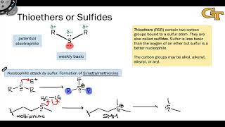 0407 Thioethers [upl. by Sral147]