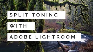 Split Toning with Adobe Lightroom Classic CC [upl. by Attoynek]