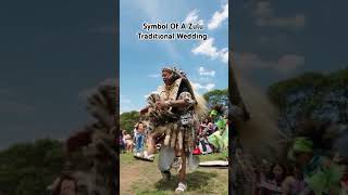 Incredible Zulu Wedding wedding dancemoves inlaws guests traditional viralvideo [upl. by Sunev]