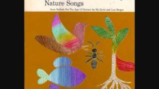 Nature Songs  How Do the Seeds of Plants Travel [upl. by Ykvir]