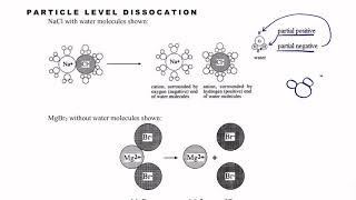 AP Chemistry Notes 16 Concentration of Ions  Particle Drawings [upl. by Nelrac52]