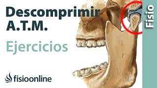 Ejercicio para descomprimir la articulación temporomandibular ATM [upl. by Aisirtap]