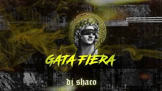 Gata Fiera Extended Reggaeton Trebol Clan ft Héctor El Father Joan  Dj Shaco [upl. by Fia]