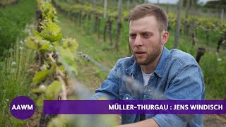 MullerThurgau German Winemaker Jens Windisch Explains [upl. by Canon]