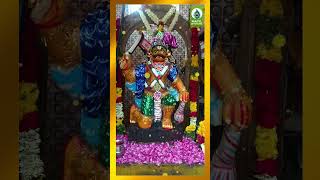 Karkkuvel Ayyanarin  Karuppasamy Devotional Songs shorts bakthi tamilgodsongs [upl. by Nyssa]