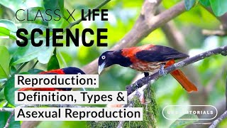 জননের সংজ্ঞা প্রকারভেদ ও অযৌন জনন Reproduction Definition Types and Asexual Reproduction [upl. by Asihtal]