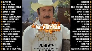 Mix De Puras Viejitas Pa Pistear De Antonio Aguilar  Antonio Aguilar Mix Éxitos con Banda [upl. by Dier]