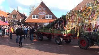 Maibaumaufstellen in Marienhafe 2015 [upl. by Imim329]