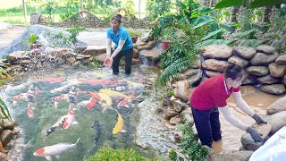 Building a KOI fish tank with many stones Build beautiful garden landscapes  Live with nature [upl. by Adnilim]