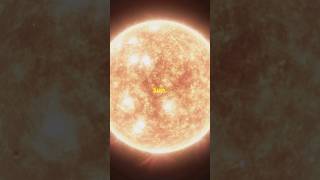 Discover the fascinating life cycle of stars [upl. by Ailla]