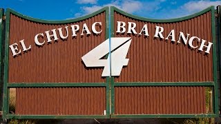 Racer X Films El Chupacabra Ranch Update with Blake Baggett [upl. by Harlamert]