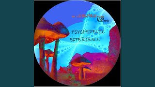 Psychedelic Experience [upl. by Taffy]